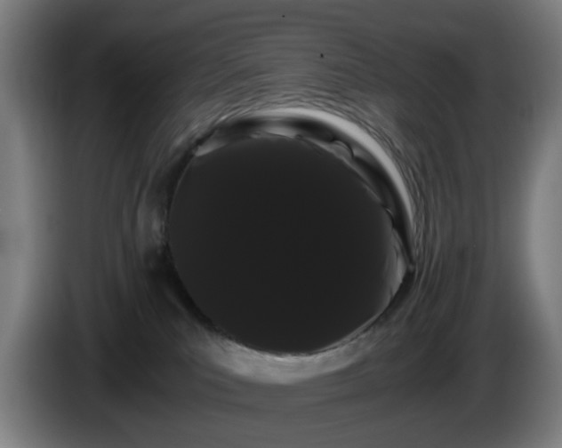 X0000086090039200703301201