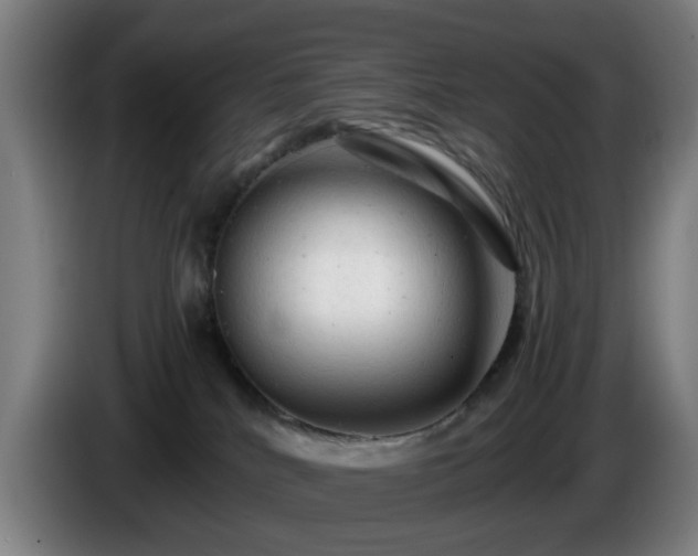 X0000086090040200703301201