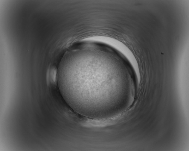 X0000086090041200703301201