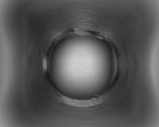 X0000086090042200703301201