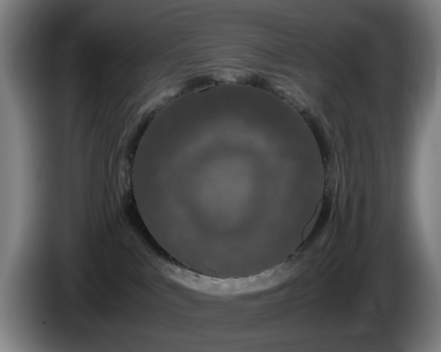 X0000086090043200703301201