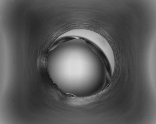 X0000086090045200703301201