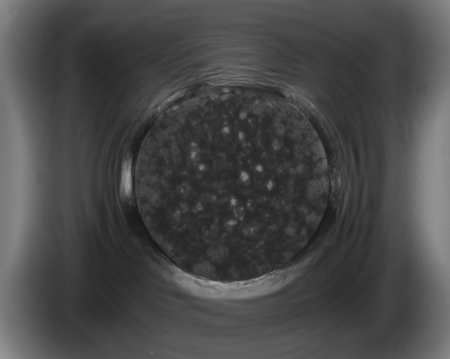 X0000086090046200703301201