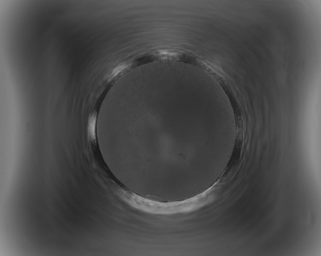 X0000086090047200703301201