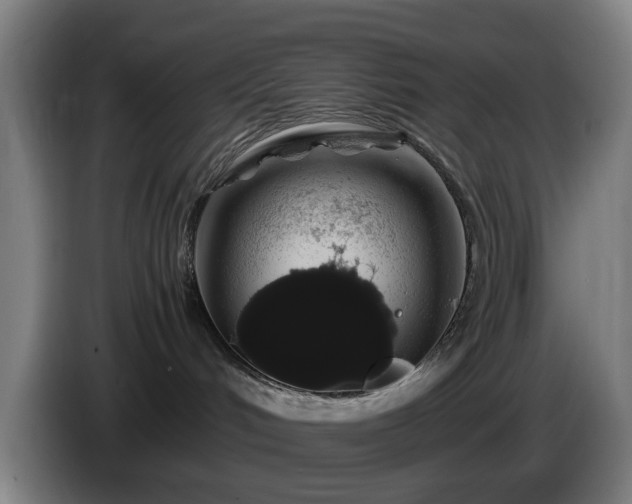 X0000086090048200703301201