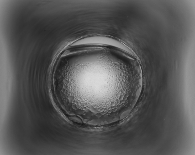 X0000086090049200703301200