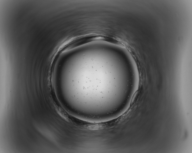 X0000086090050200703301200