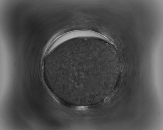 X0000086090053200703301200