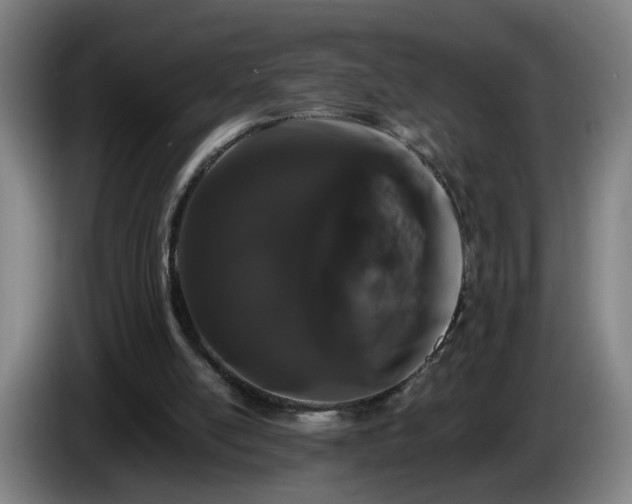 X0000086090054200703301200