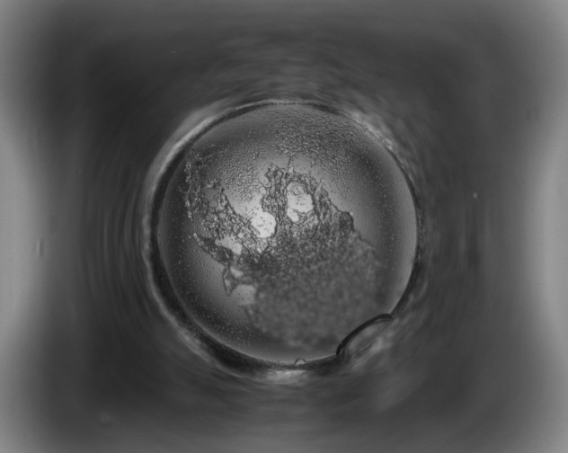 X0000086090055200703301200