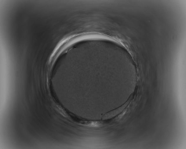 X0000086090056200703301200