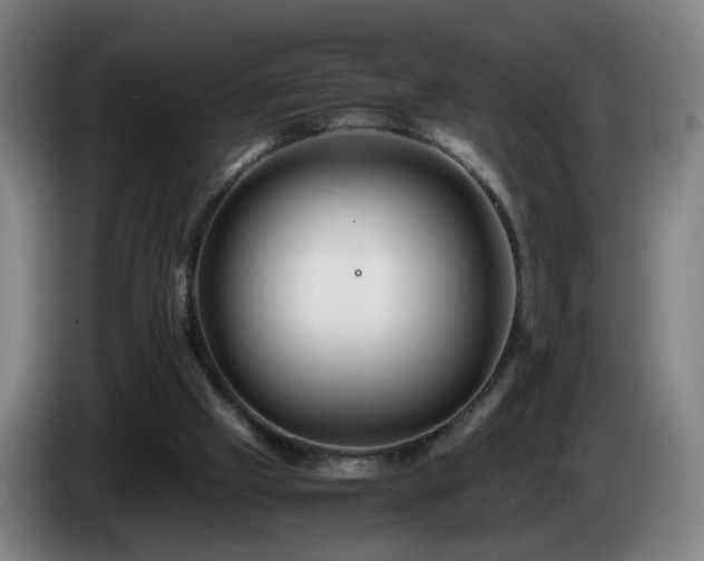 X0000086090057200703301200