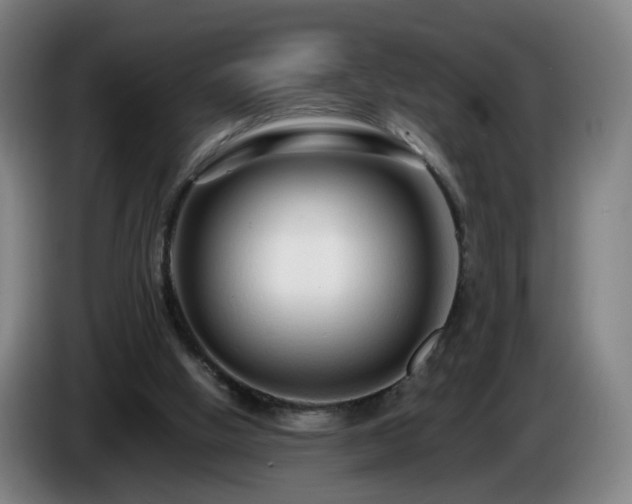 X0000086090058200703301200