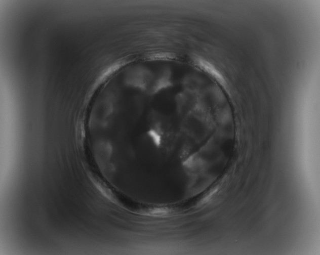 X0000086090059200703301200