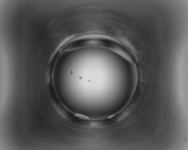 X0000086090060200703301200