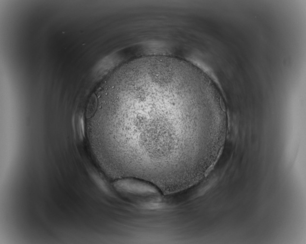 X0000086090061200703301200