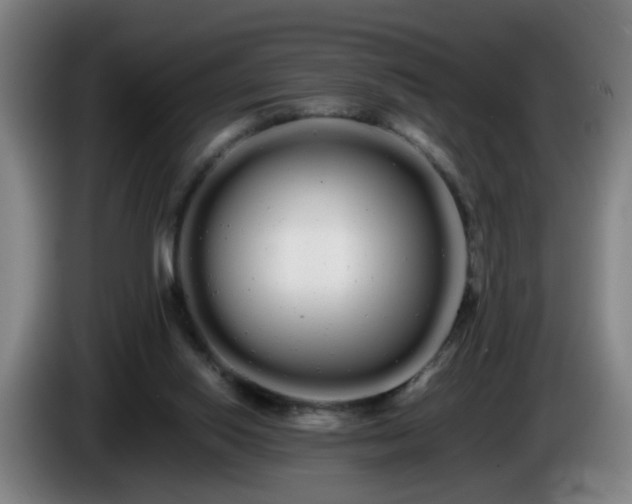 X0000086090062200703301200