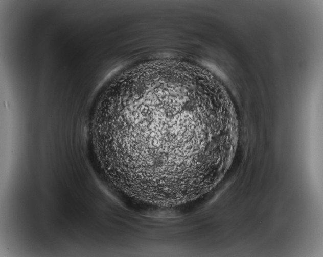 X0000086090063200703301200