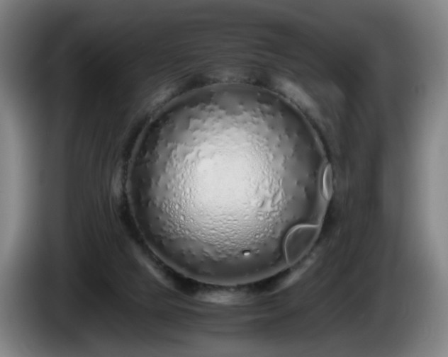 X0000086090065200703301200