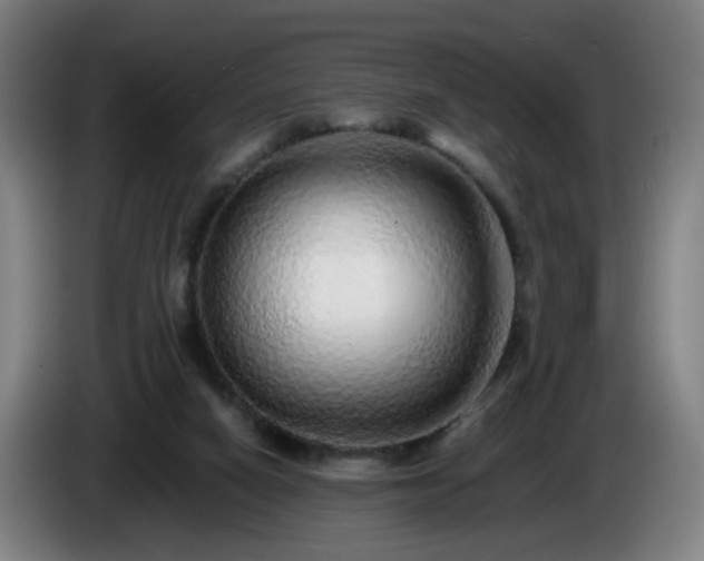 X0000086090066200703301200