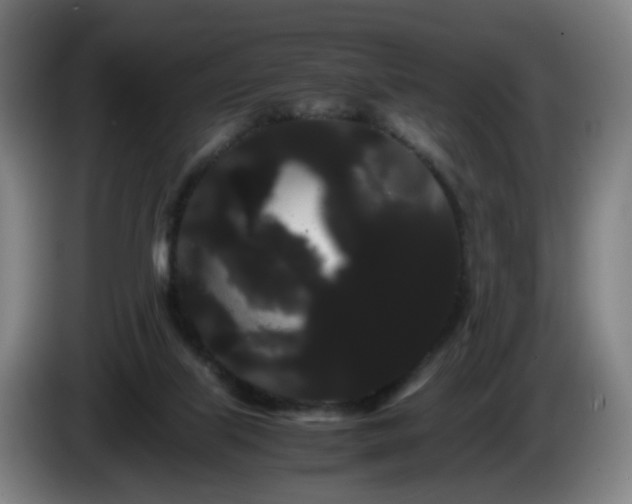 X0000086090067200703301200