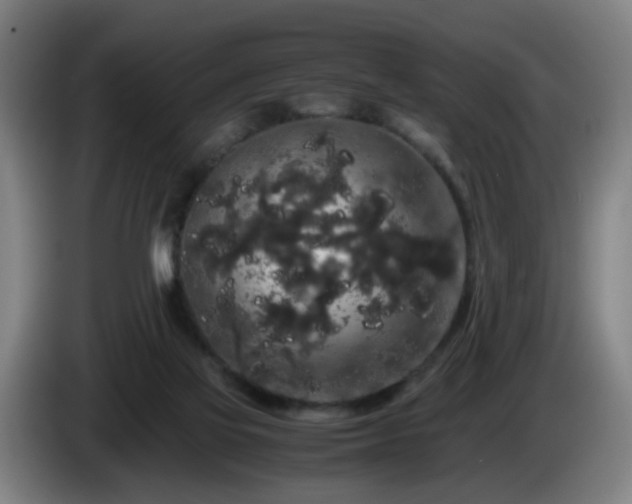 X0000086090069200703301200