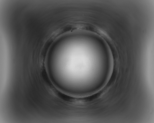 X0000086090073200703301200