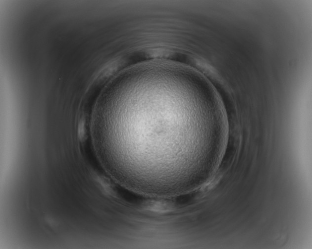 X0000086090074200703301200