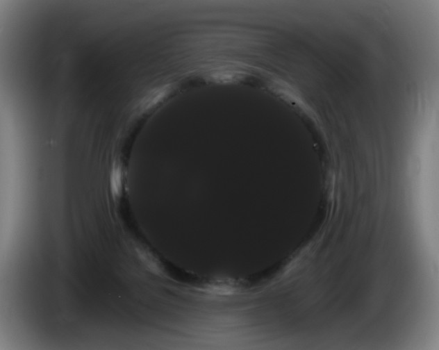 X0000086090076200703301200