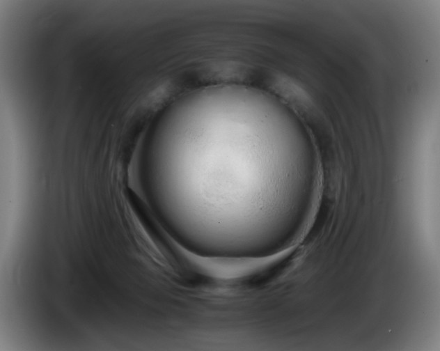 X0000086090077200703301200