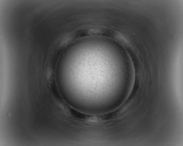 X0000086090079200703301201