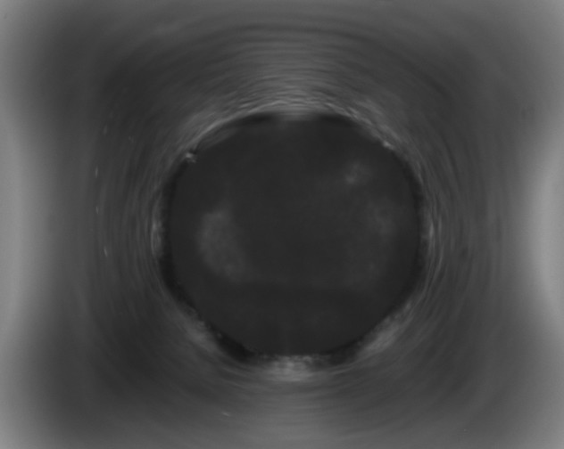 X0000086090080200703301201