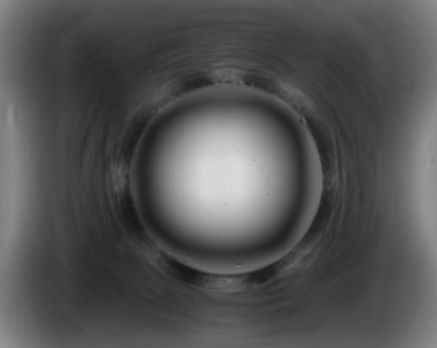 X0000086090081200703301201