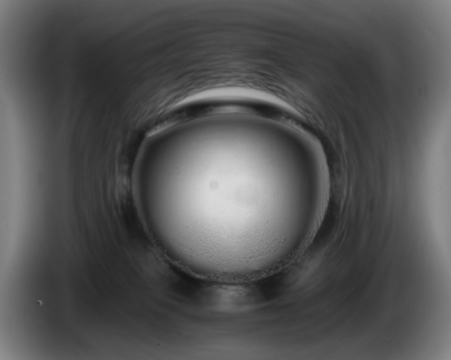 X0000086090085200703301201