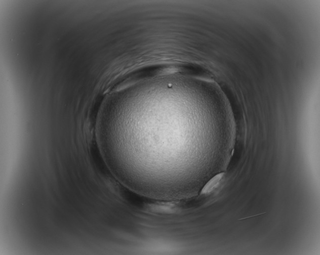 X0000086090086200703301201