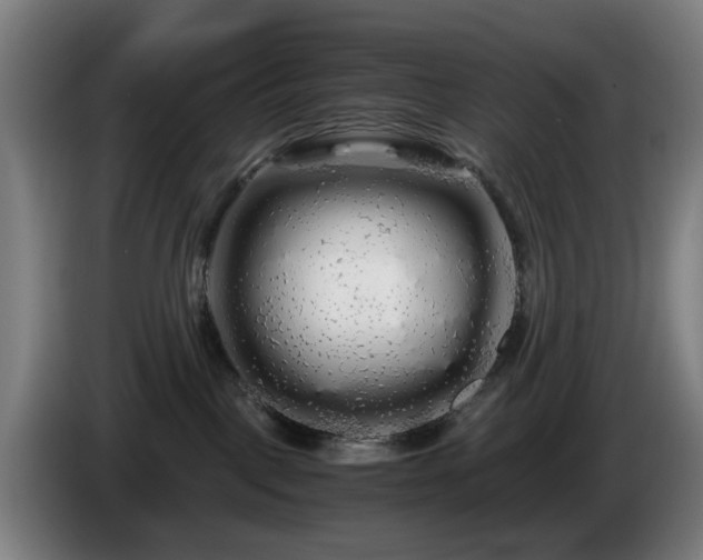 X0000086090093200703301201