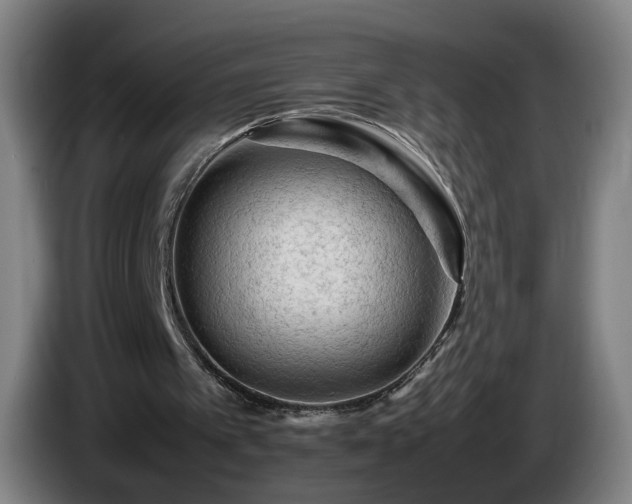 X0000086090097200703301200