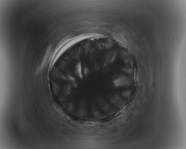 X0000086090099200703301200