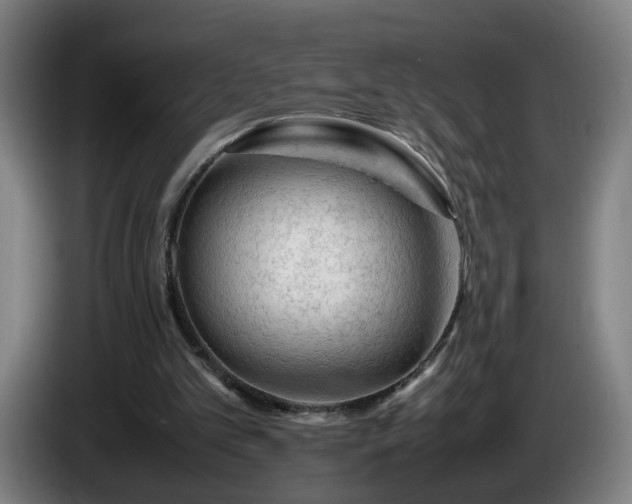 X0000086090101200703301200