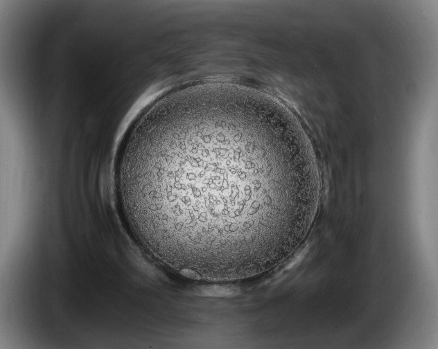 X0000086090102200703301200