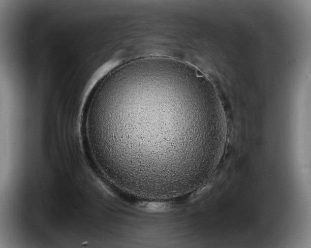 X0000086090104200703301200