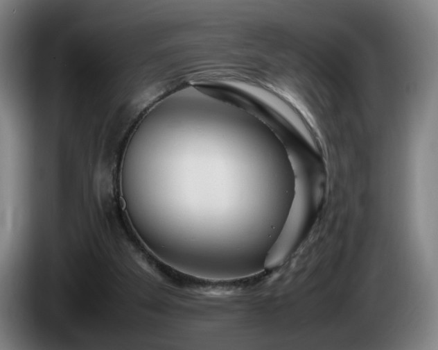 X0000086090105200703301200