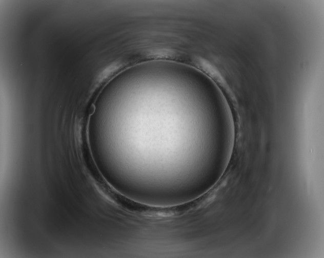 X0000086090106200703301200