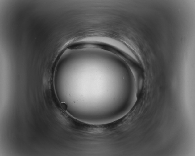 X0000086090107200703301200