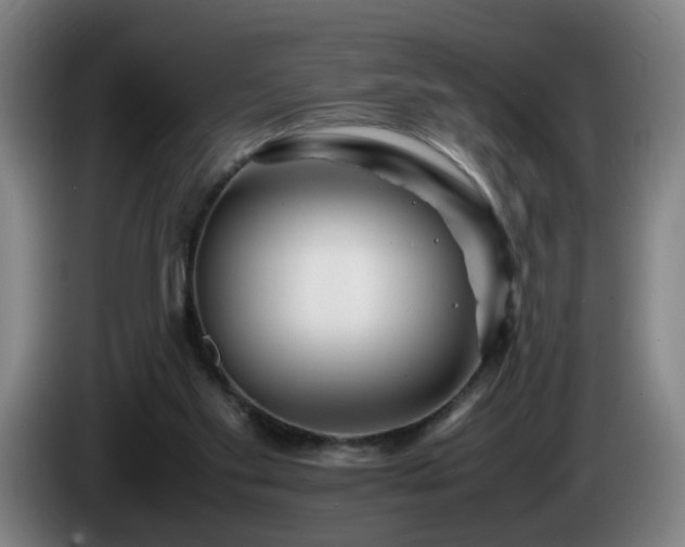 X0000086090109200703301200