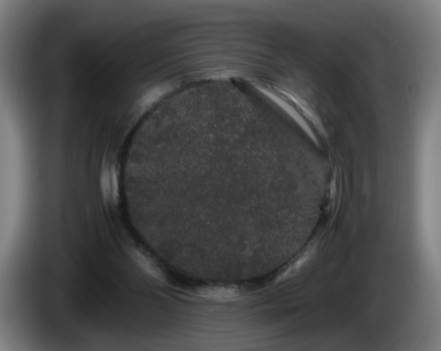 X0000086090110200703301200