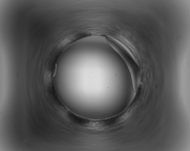 X0000086090117200703301200