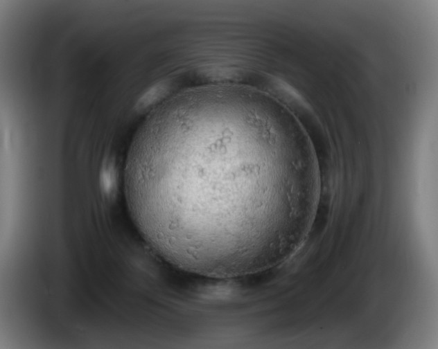 X0000086090124200703301159