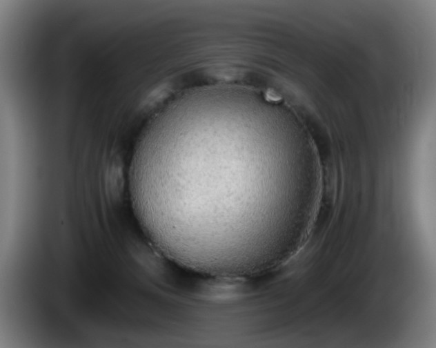 X0000086090128200703301159