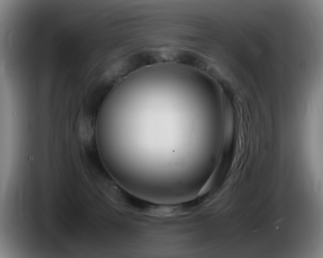 X0000086090129200703301159